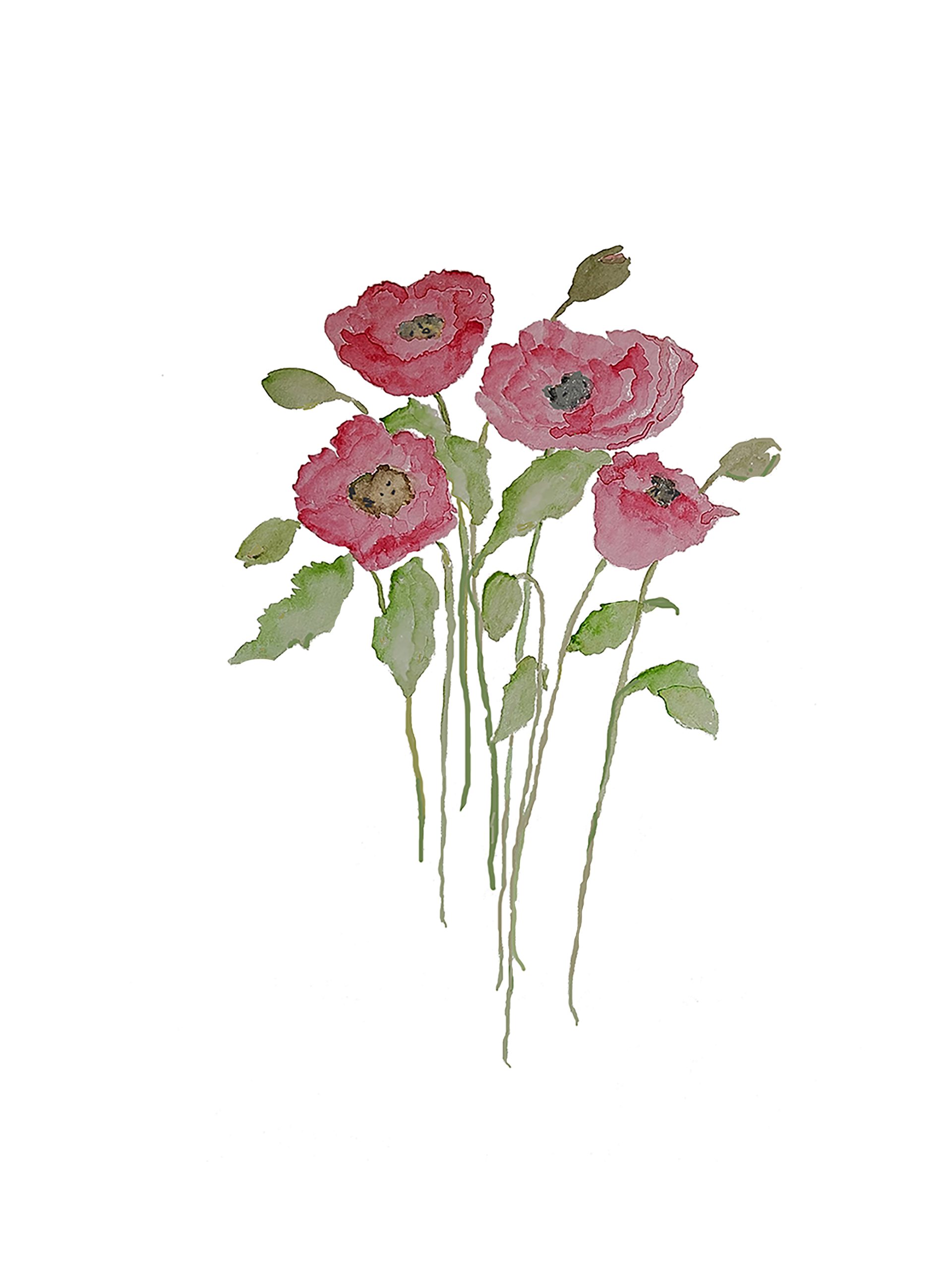 Poppies