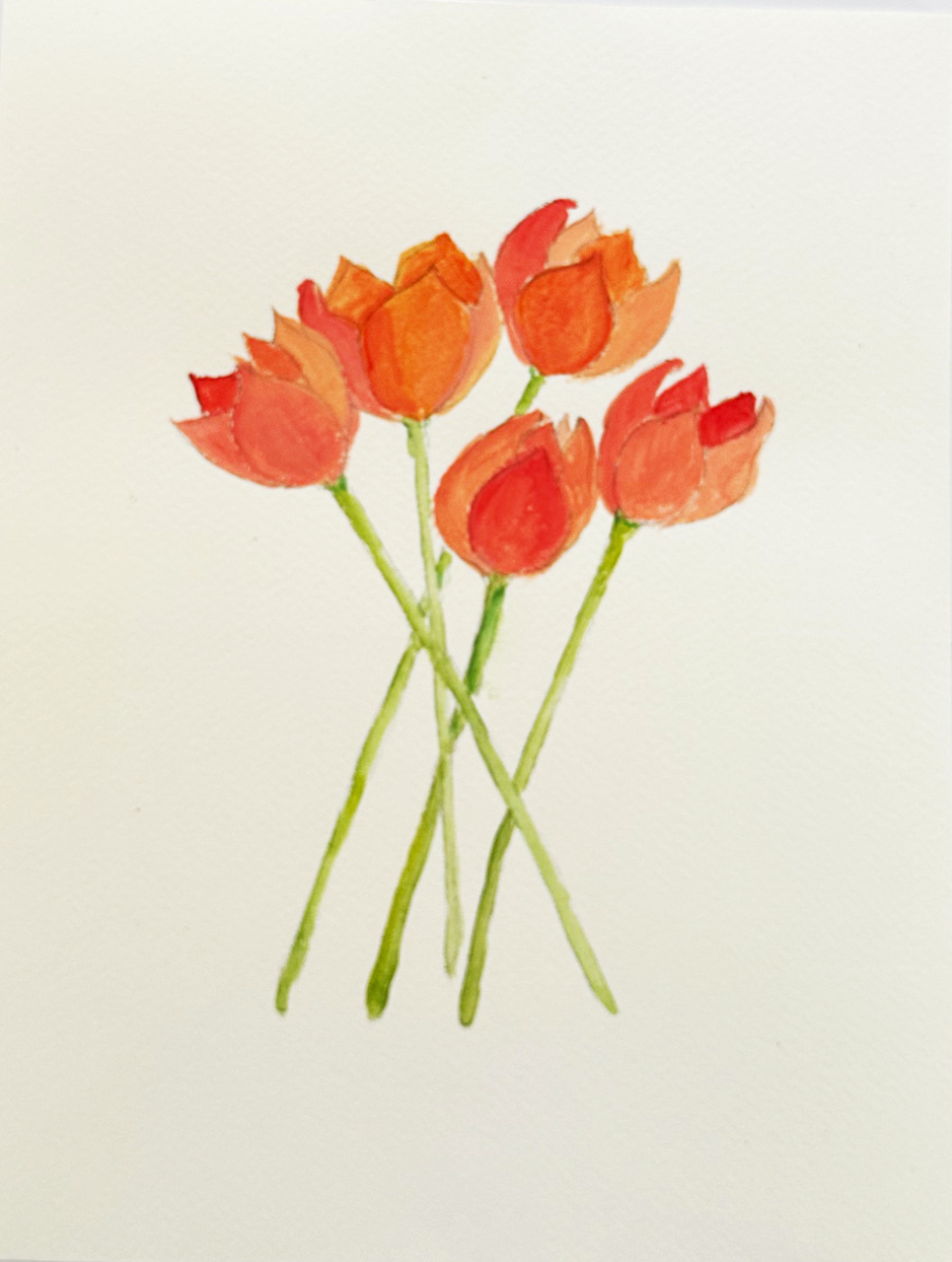 Tulips